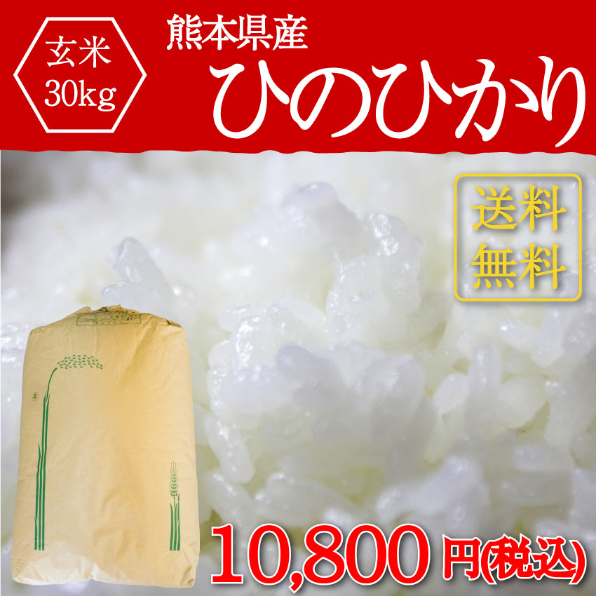 熊本県産　令和4年新米100%　発芽玄米　5kg ヒノヒカリ　れんげ
